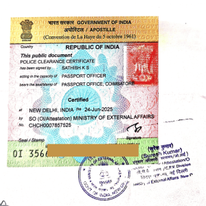 MEA Apostille stamp in Faridabad sample