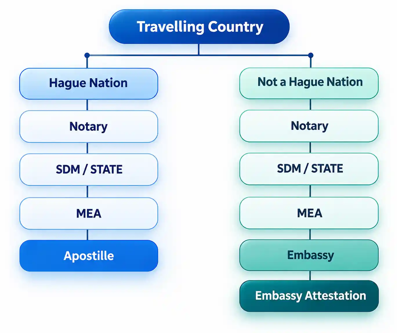 Hague & Non Hague process SAS